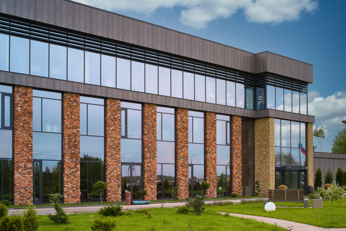 Грибная радуга  - IGP7913