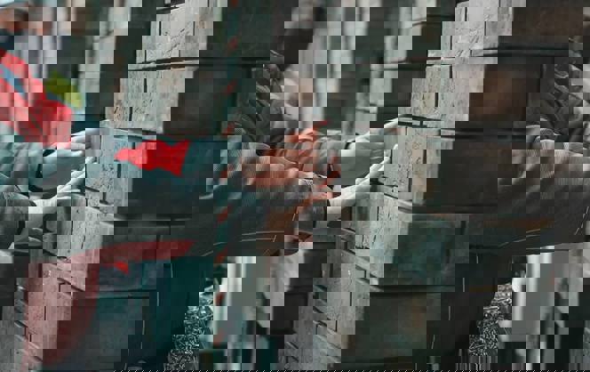 Авторский надзор РОНСОН