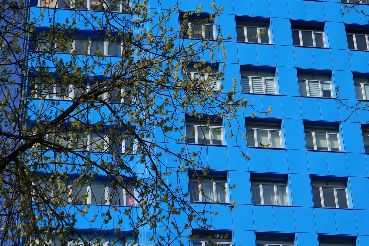 Больница им. А.В. Вишневского - DSC02669