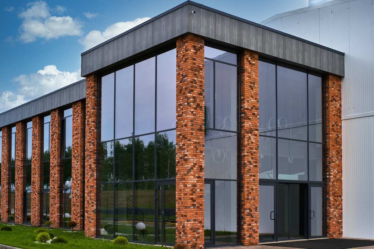 Грибная радуга  - IGP7937 (1)